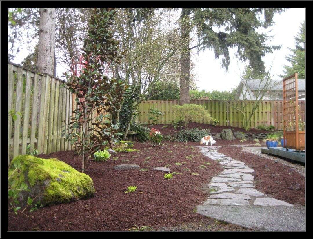 12 Ideas How to Improve Dog Backyard Landscape