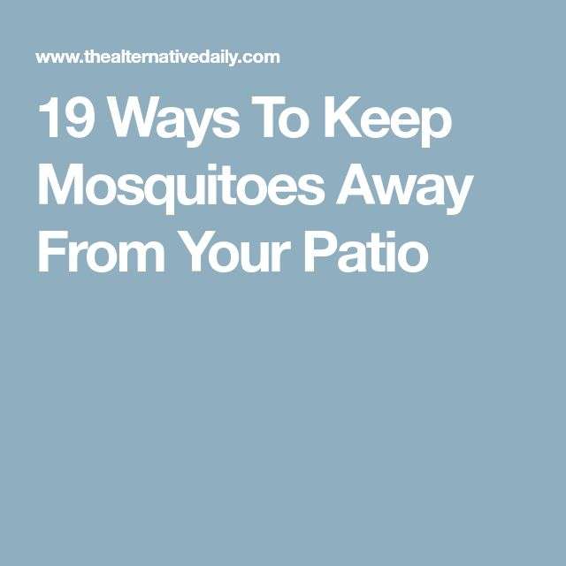 19 Ways To Keep Mosquitoes Away From Your Patio