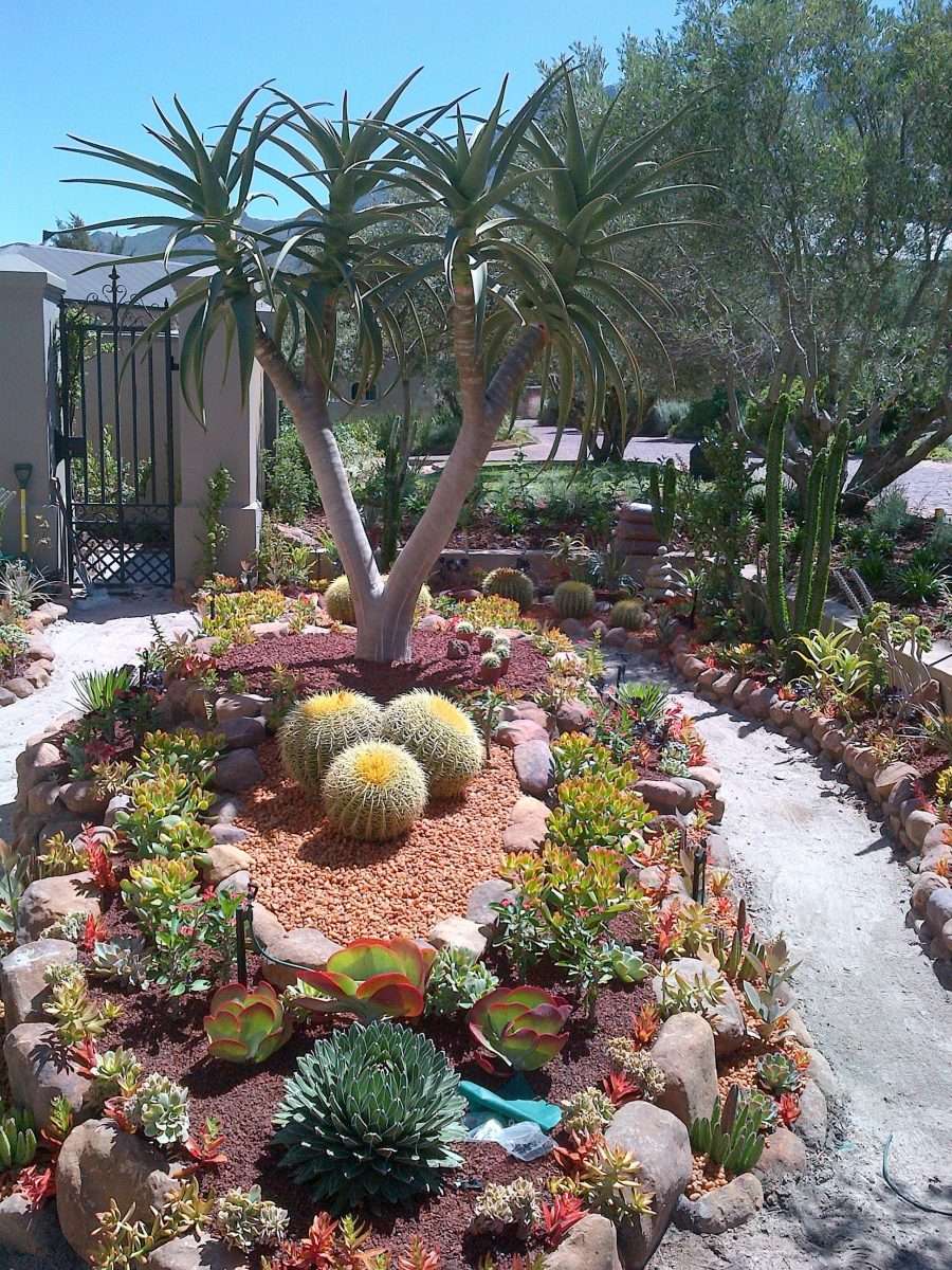 30 Beautiful Desert Garden Design Ideas For Your Backyard / FresHOUZ ...