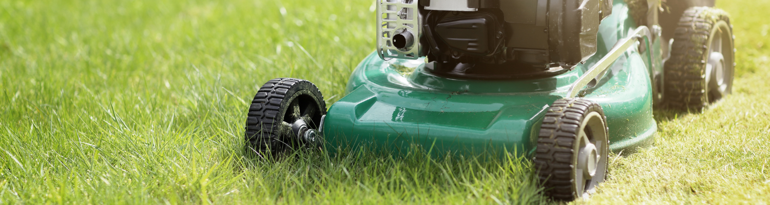 4 Tips for Winter Lawn Care
