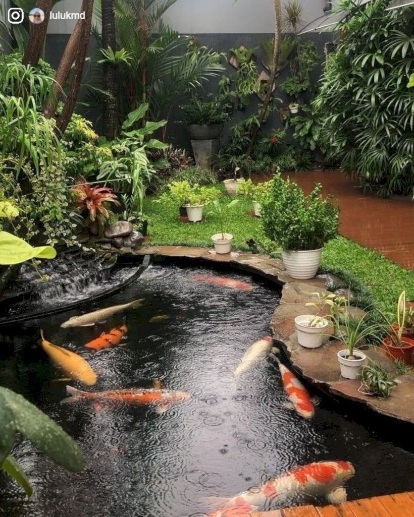 48 The Best Fish Pond Concept That You Should Try at Home