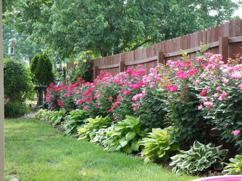 55 Best Ideas For Garden Plants With Low Maintenance 05