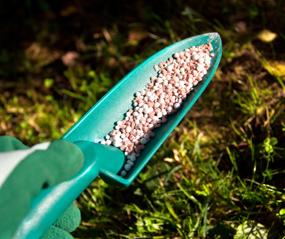 6 Lawn Care Mistakes That Can Ruin Your Yard in Durham