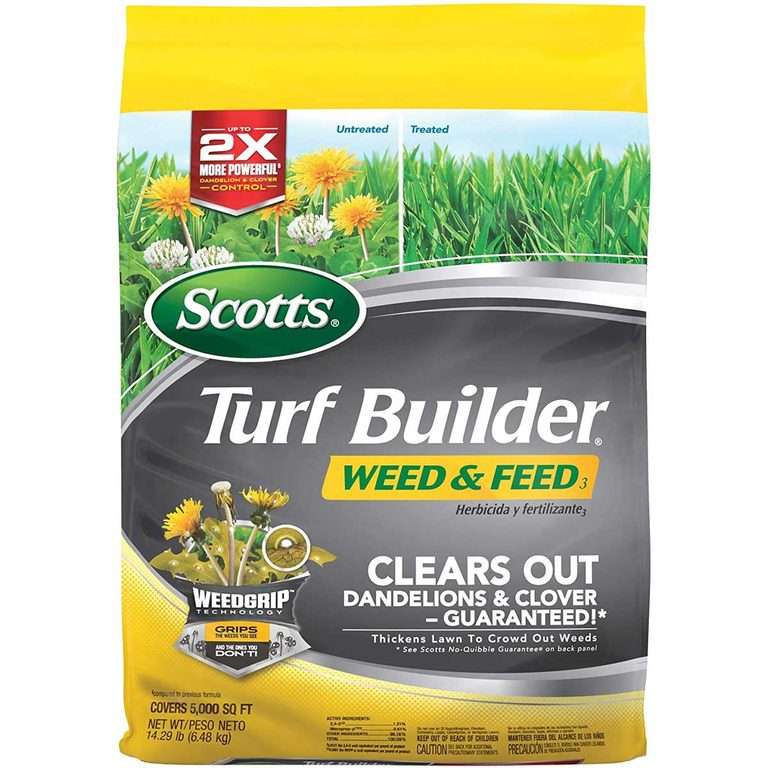 8 Best Weed Killers for Lawn