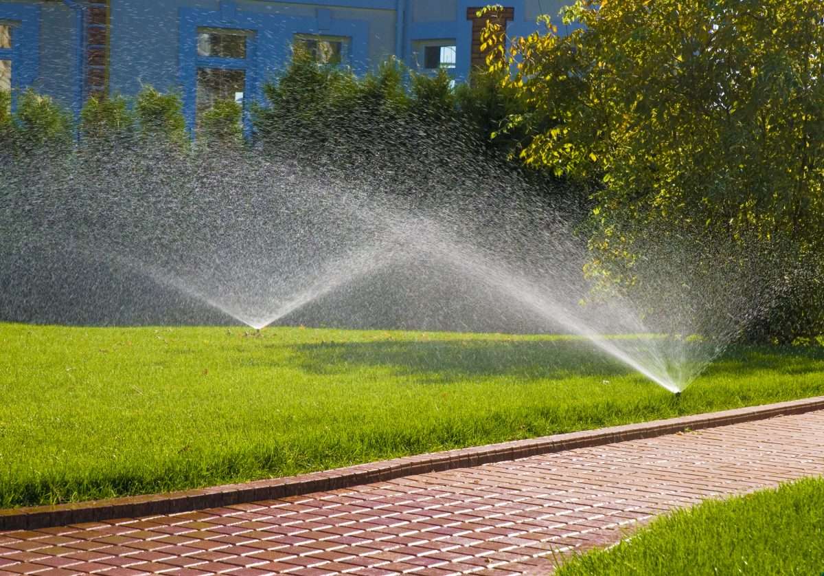 Best Lawn Watering
