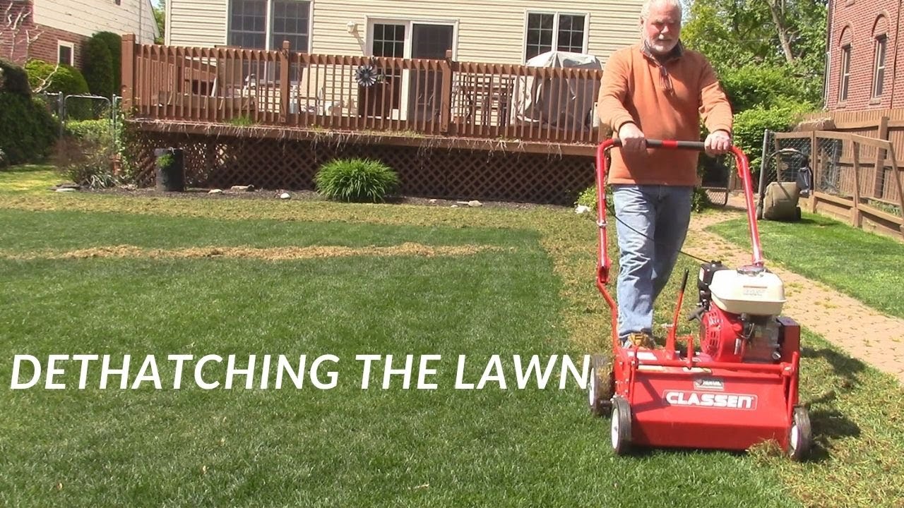 Dethatching The Lawn #dethatching #grass #lawncare # ...
