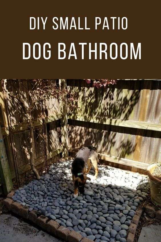 DIY Small Patio Dog Bathroom! Easy to make dog bathroom ...