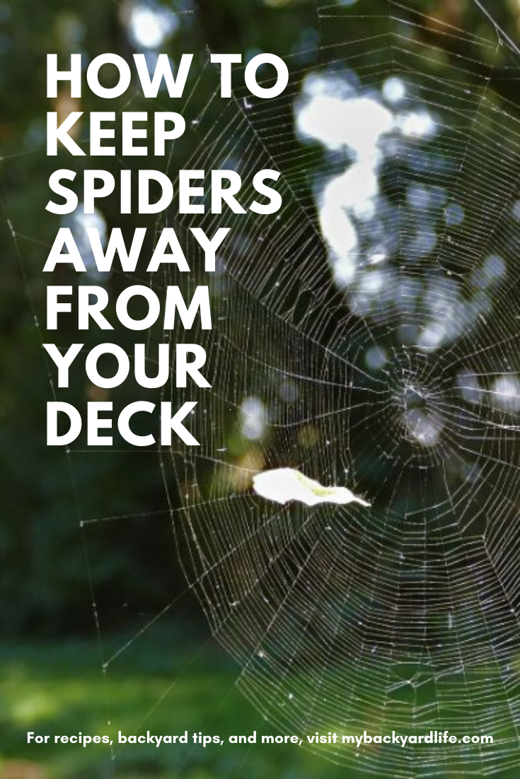 Effective Ways to Keep Spiders Away From Your Deck or ...