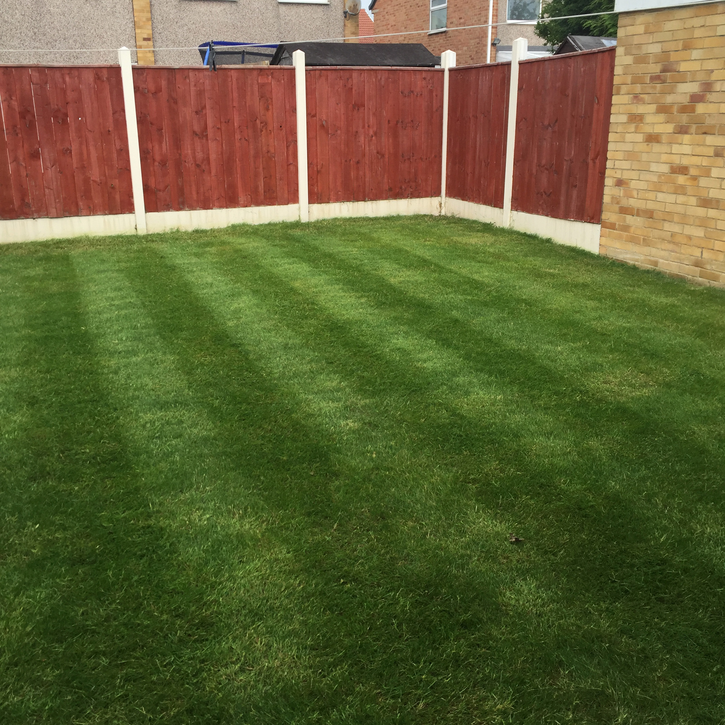 Expert Lawn Care in Teesside