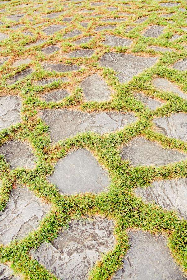 Flagstone Pavers With Moss Growing Between Stock Photo ...