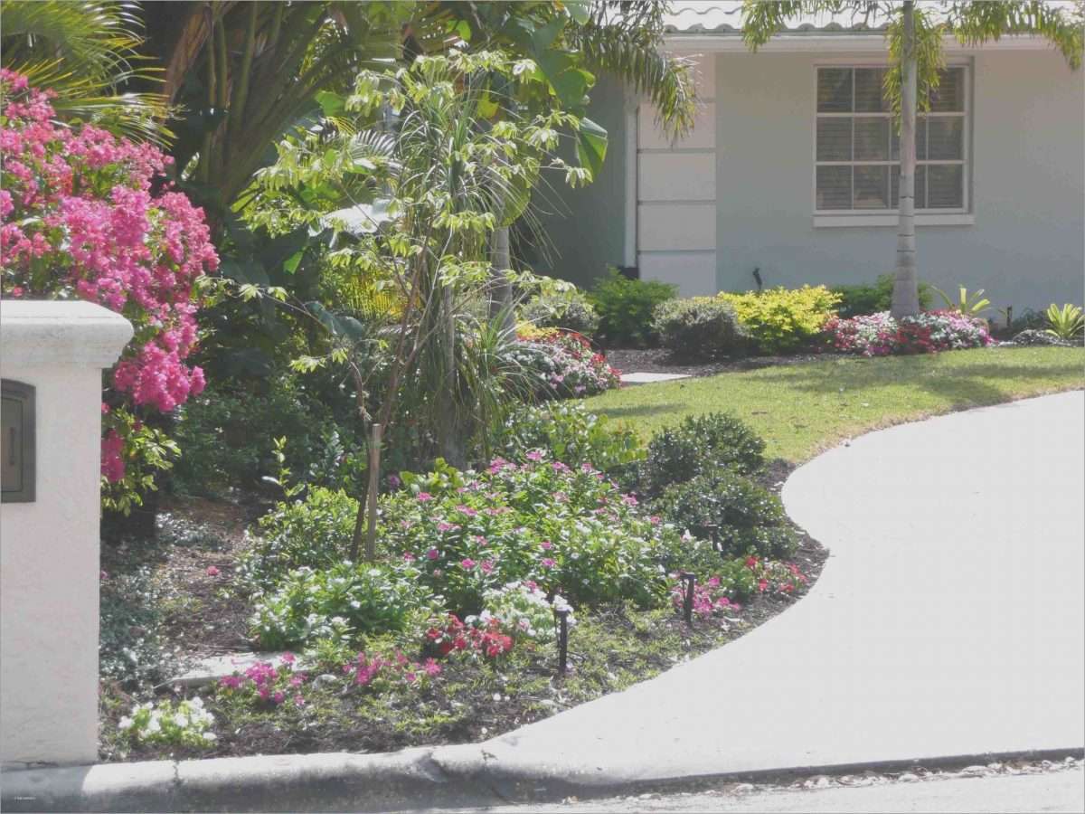 Florida Landscape Design Ideas