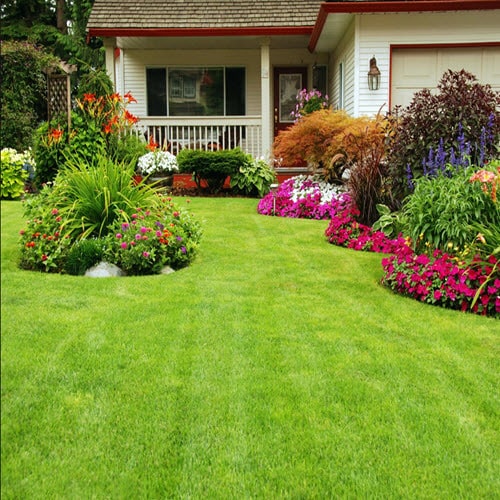 Front Yard Grass Landscaping Services, Coverage Area:
