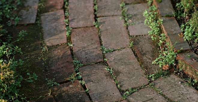 Get rid of weeds between your paving stones