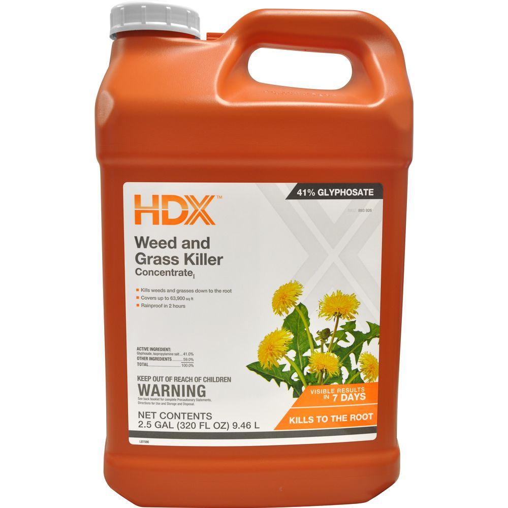 HDX 2.5 Gal. Weed and Grass Killer Concentrate