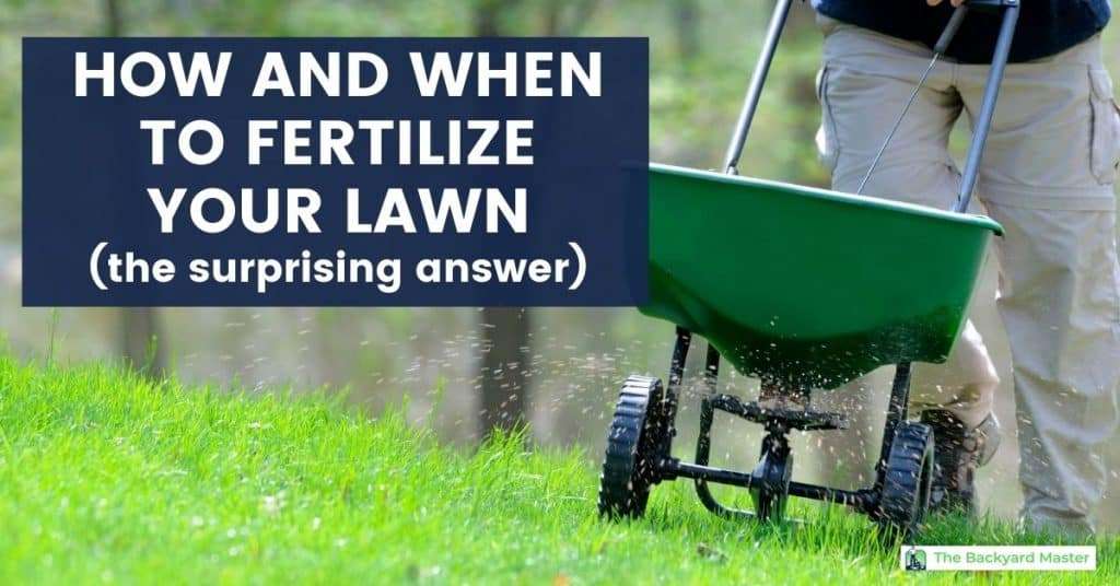 How Often Should I Fertilize My Lawn? (The Surprising Answer)