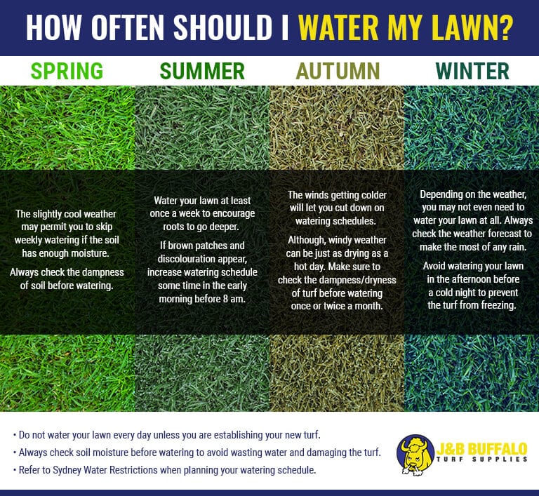 How often should I water my lawn?