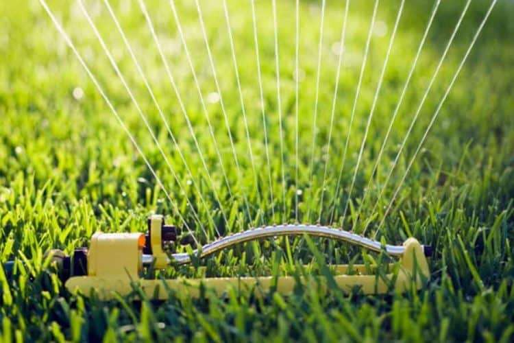 How Often Should I Water My Lawn With Sprinkler System