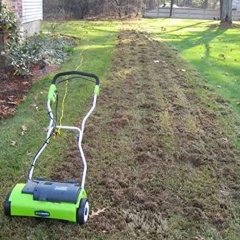 How Often Should You Scarify Your Lawn?