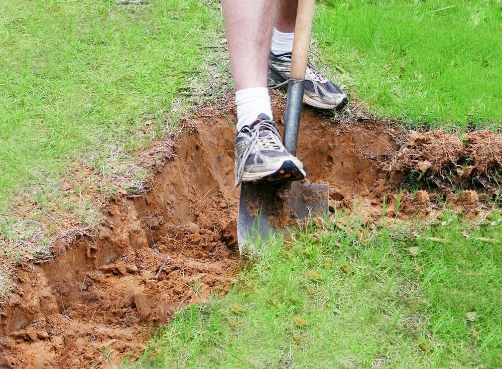 How To Boost Your Clay Soil Drainage