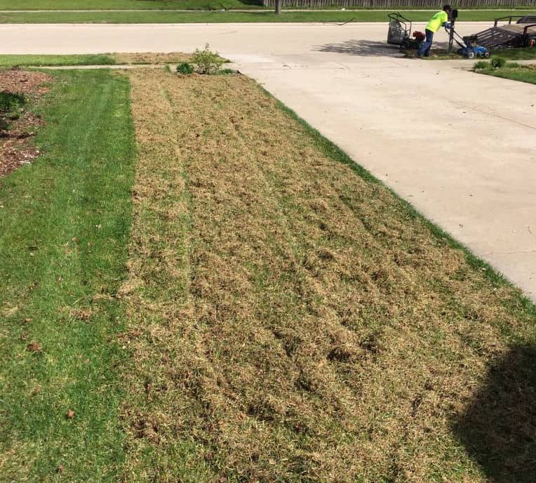 How To Dethatch A Lawn With A Rake / Benefits Of Dethatching And ...