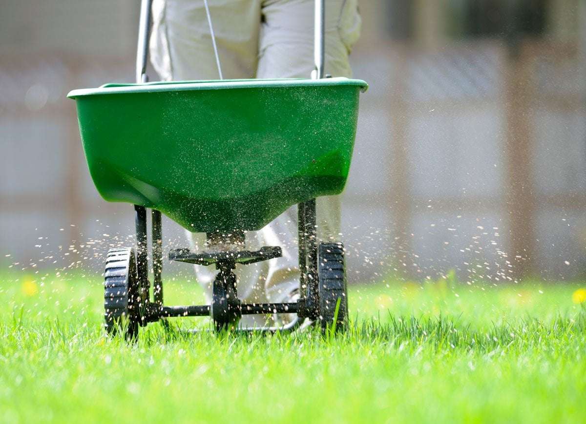 How to Fertilize Lawn in Fall