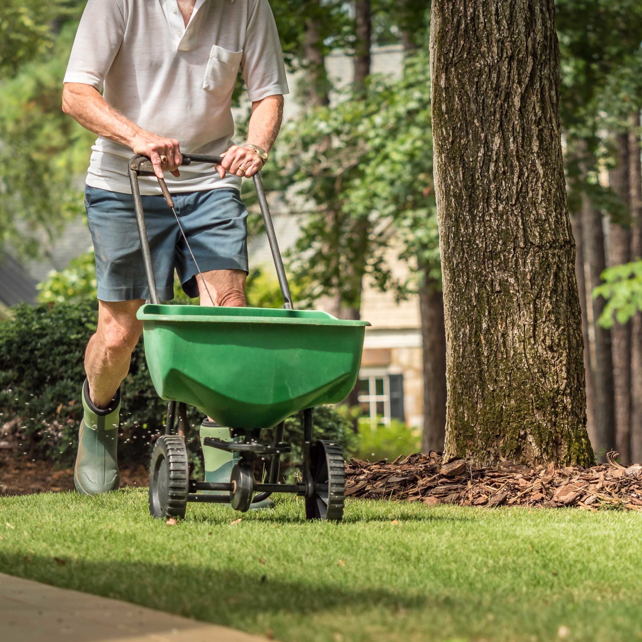 How to Fertilize Your Lawn
