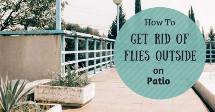 How To Get Rid Of Flies Outside On Patio