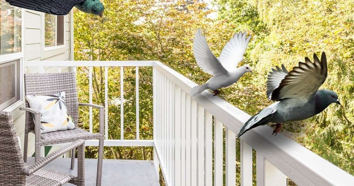 How To Keep Birds From Pooping On Patio Furniture ...