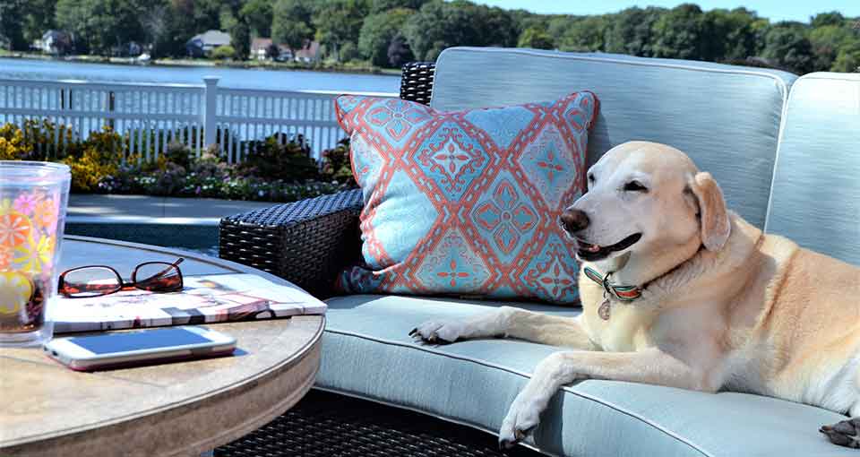How to Keep Dogs off Patio Furniture