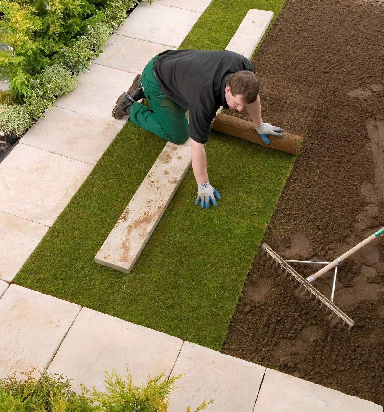 How to lay a new lawn