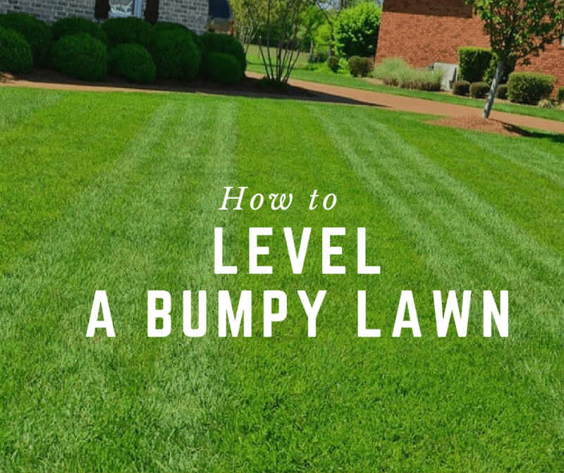 How To Level a Bumpy Lawn (Causes and Fixes)