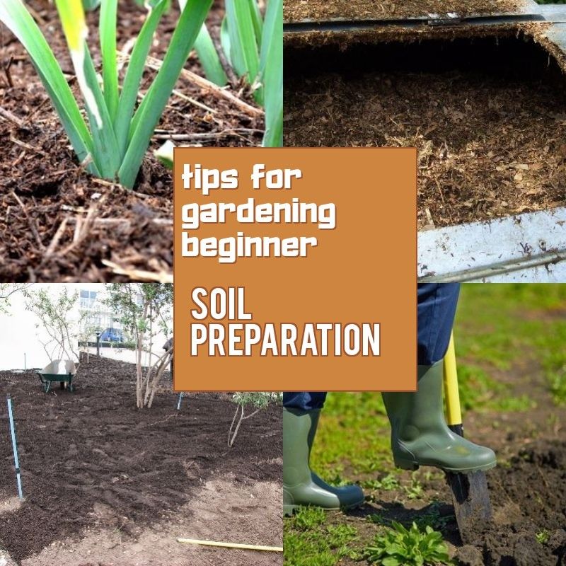 How to Prepare Soil for Gardening?
