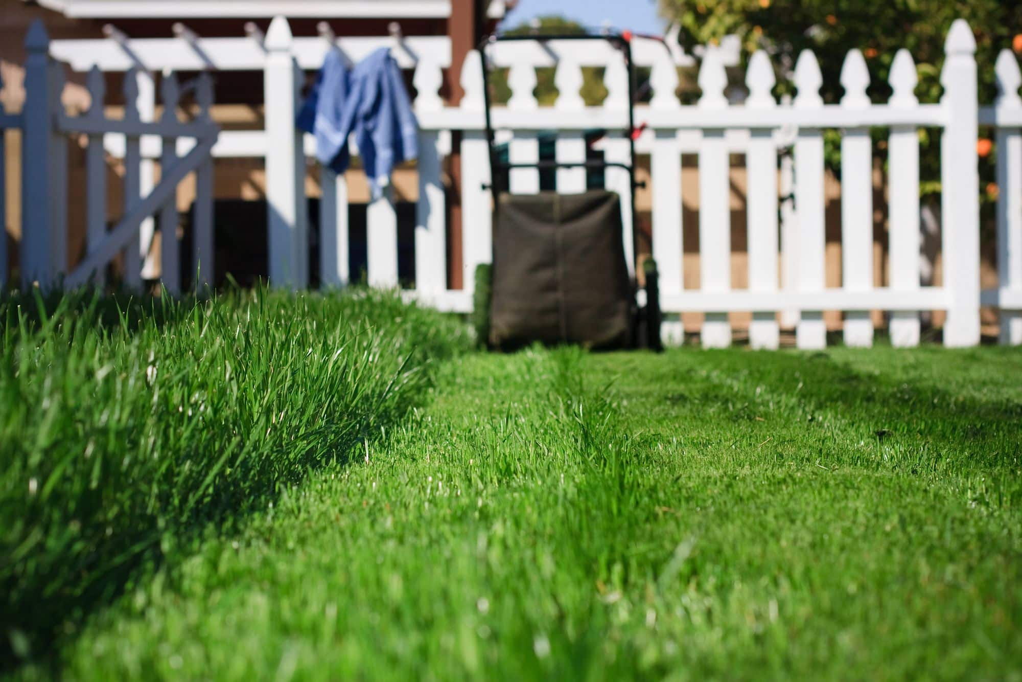 How to Prepare Your Lawn for Spring