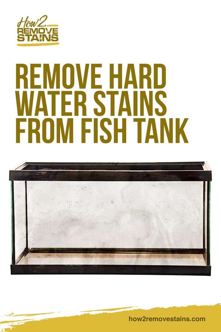 How to Remove Hard Water Stains From Fish Tank