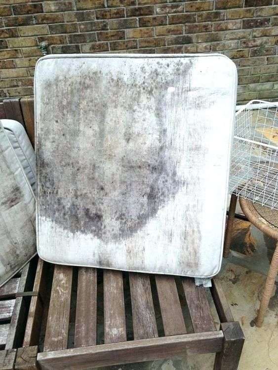 How To Remove Mildew From Patio Furniture Cushions ...