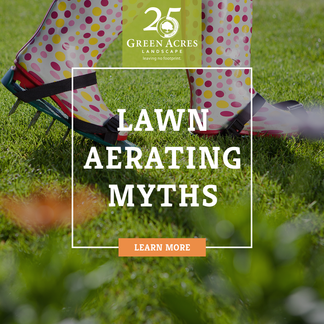 Lawn Aerating Myths