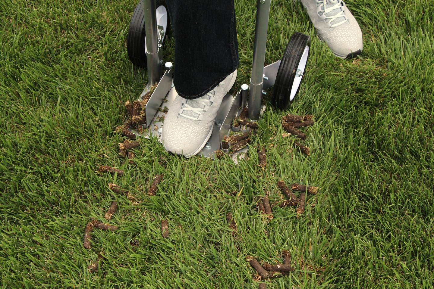 Lawn Aeration: A Step by Step Guide