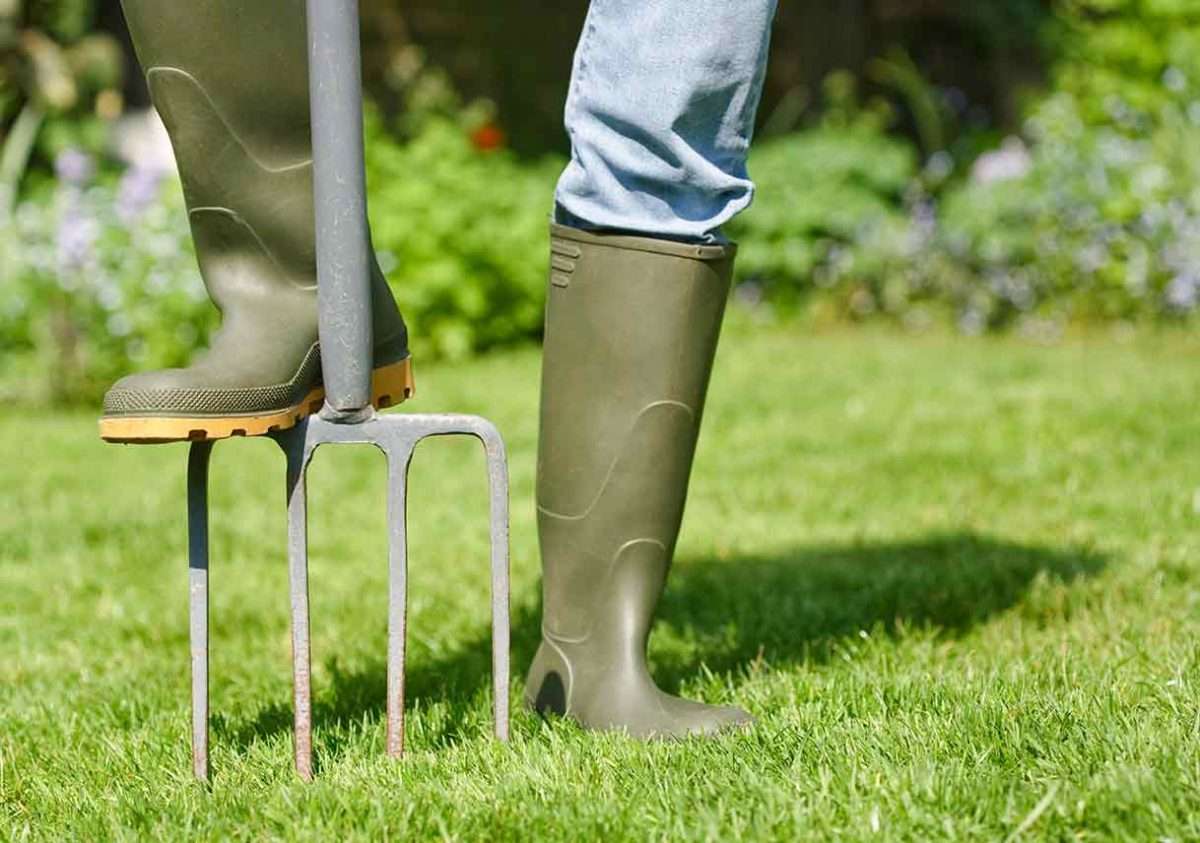 Lawn Care Lessons for Aerating Your Lawn in the Spring
