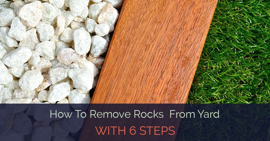 Learn How To Remove Rocks From Yard With 6 Steps