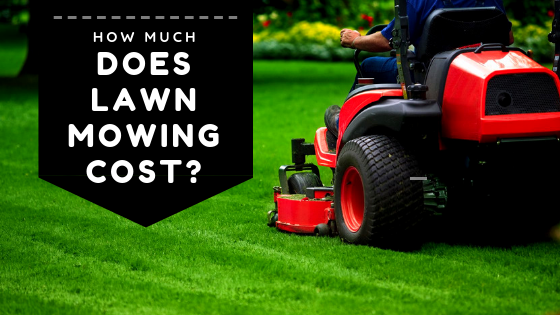 moeddesign: How Much Does Lawn Care Cost