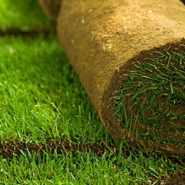natural grass carpet roll