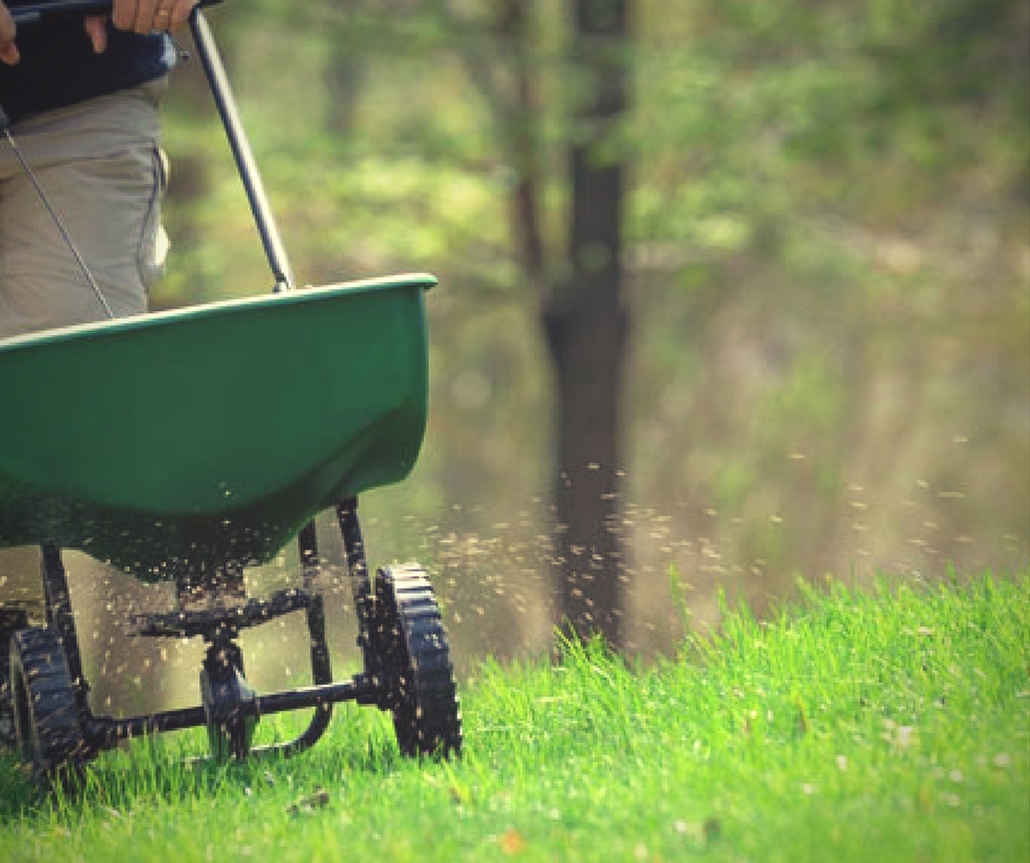 Overseed Your Lawn Properly · All around the house