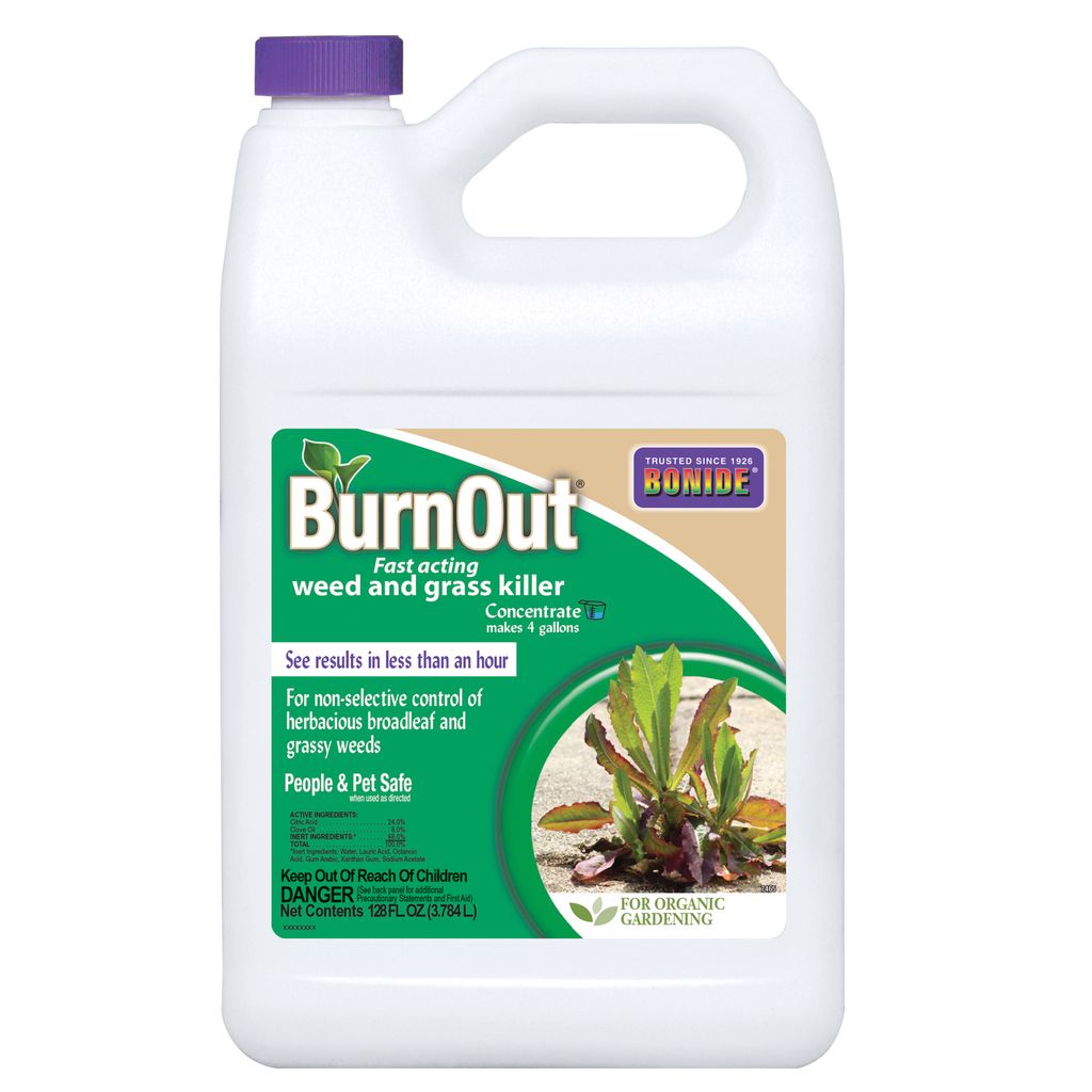 Pest and Disease Burnout II Weed &  Grass Killer Concentrate