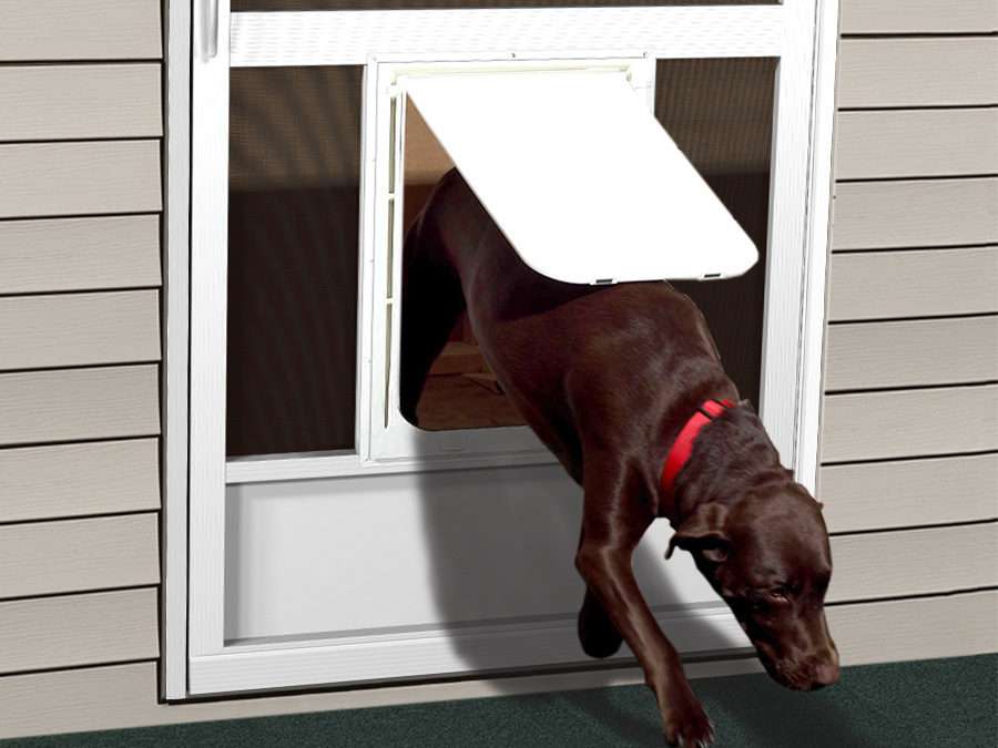 Pet Doors Screen Door with Pet Door Dog Screen Doorsâ¦