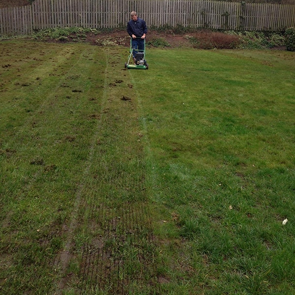 Professional Lawn Scarification Service  Mow and Go