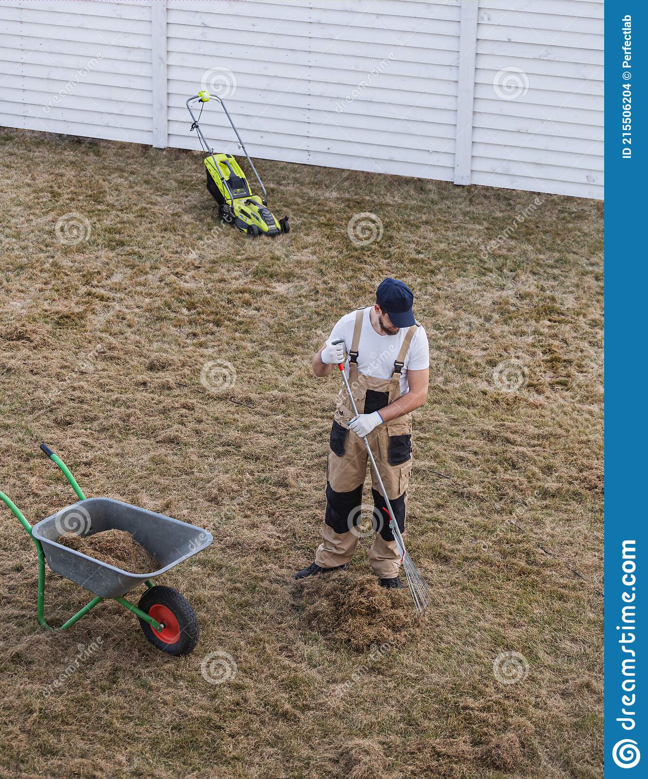 Scarifying Lawn With Rake And Scarifier, Man Gardener Scarifies The ...