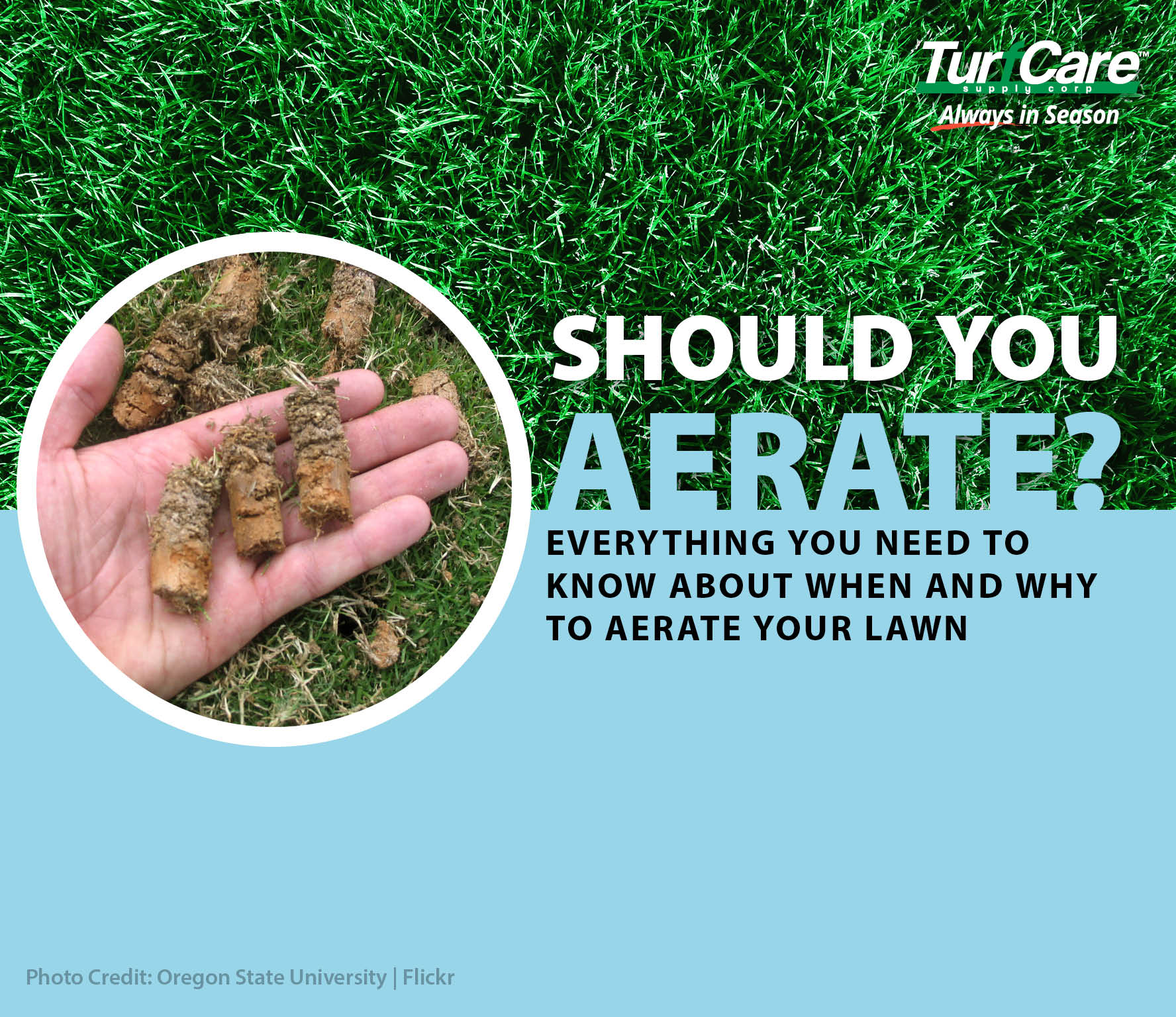 Should I aerate? Everything You Need To Know About When and Why To ...