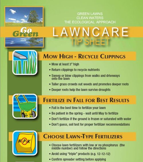 Southern Lawn Fertilizer Schedule