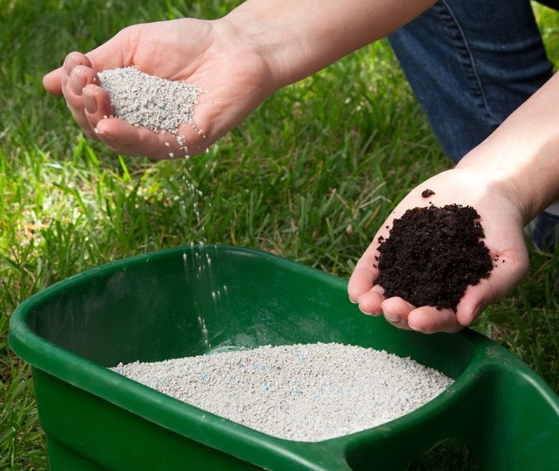 Spring Lawn Care: Which Fertilizer Is Best?