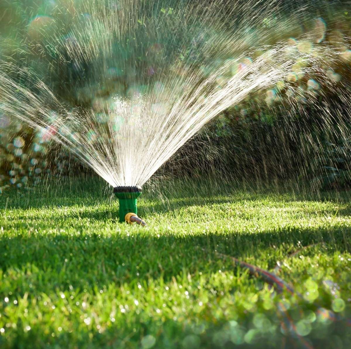Tips for Watering Your Lawn